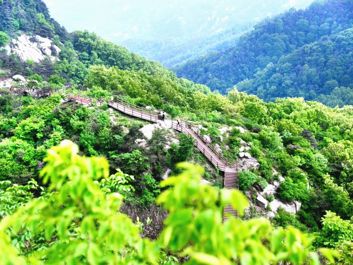 京郊避暑胜地_京郊清凉秘境攻略_野炊露营门票