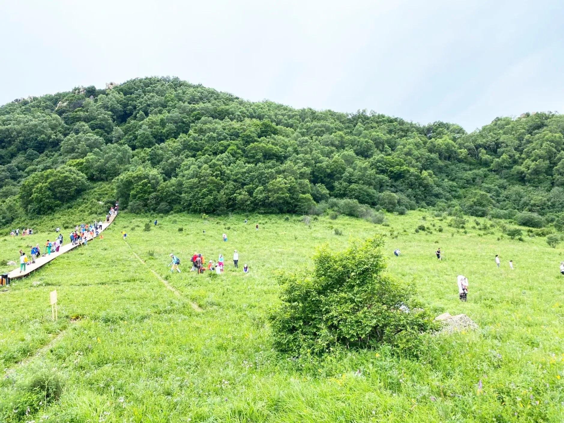 京郊清凉秘境攻略_京郊避暑胜地_野炊露营门票
