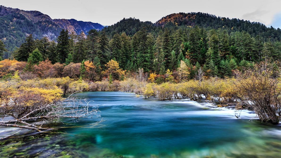 四川九寨沟自助游_九寨沟旅游攻略_九寨沟旅游线路设计