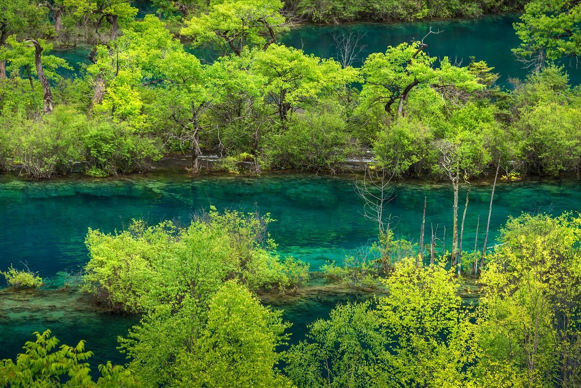 九寨沟旅游线路设计_四川九寨沟自助游_九寨沟旅游攻略