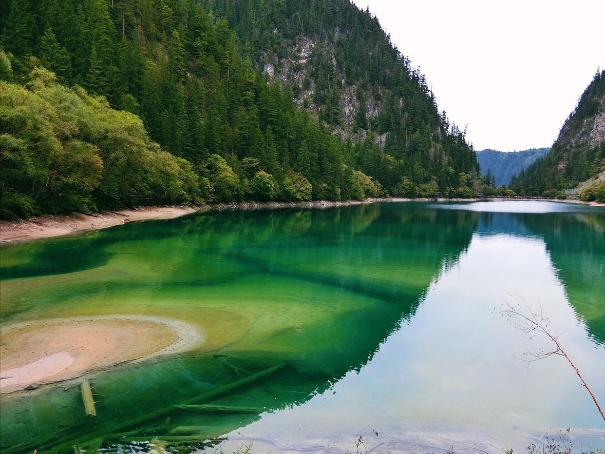 四川九寨沟自助游_九寨沟旅游线路设计_九寨沟旅游攻略