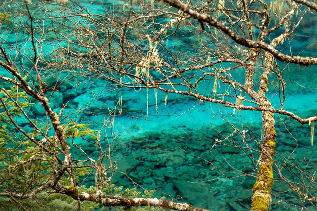 藏式家访_九寨沟高山海子成因解析_九寨沟旅游线路设计