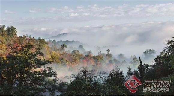 云南自驾游 路线推荐 摄影观鸟湖泊日出_九寨沟旅游线路设计_峡谷金沙江徒步