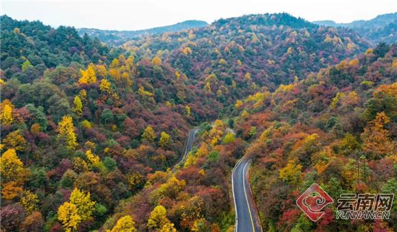 云南自驾游 路线推荐 摄影观鸟湖泊日出_九寨沟旅游线路设计_峡谷金沙江徒步