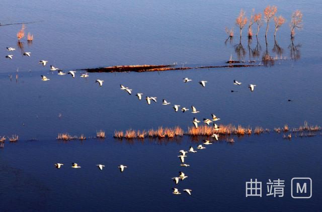 九寨沟旅游线路设计_峡谷金沙江徒步_云南自驾游 路线推荐 摄影观鸟湖泊日出