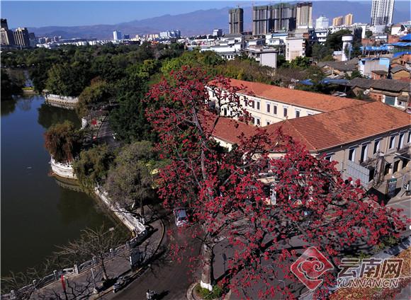 云南自驾游 路线推荐 摄影观鸟湖泊日出_九寨沟旅游线路设计_峡谷金沙江徒步