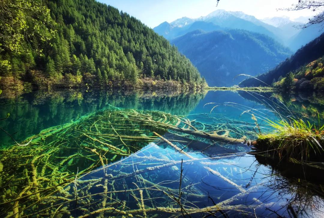 九寨沟景区天气预报_九寨沟旅游线路设计_九寨沟五一出游攻略