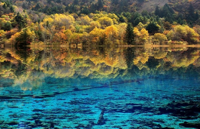 九寨沟观光车上下车点_九寨沟景点分布图_九寨沟旅游线路设计