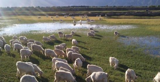 呼和浩特白石沟景区_老牛湾长城黄河旅游_清水河明代长城遗址旅游