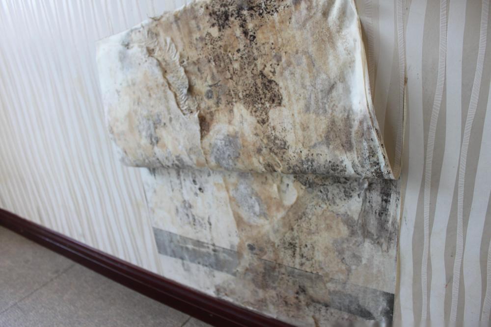 内行人告诉你,装修选乳胶漆还是选墙纸壁布?都是干货!(图3) 墙面装修材料性价比对比_刷乳胶漆的墙面还能贴壁纸不_乳胶漆与壁纸壁布的选择