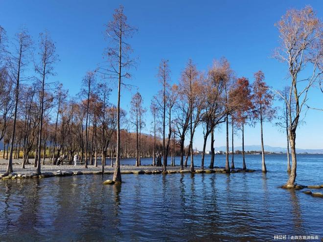 云南报团旅游六天费用_云南六天旅游路线_云南大理旅游路线推荐