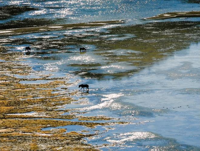 云南旅游攻略_云南当地导游推荐_云南大理旅游路线推荐