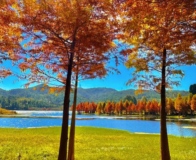 云南大理旅游路线推荐_云南当地导游推荐_云南旅游攻略