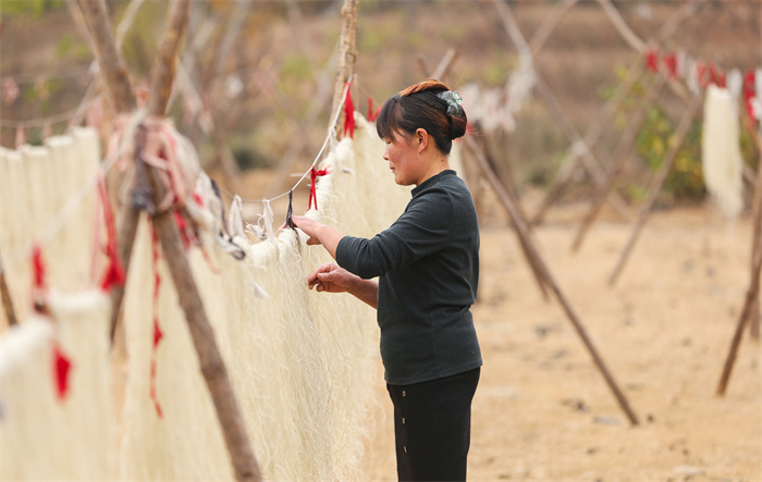 日照红薯产地价格_三庄镇红薯深加工产业链_日照东港区三庄镇红薯种植