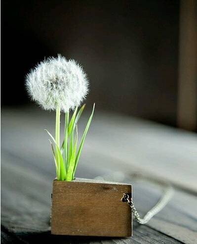 一个人的旅行是辛酸的_云南穷游攻略_独自背包旅行