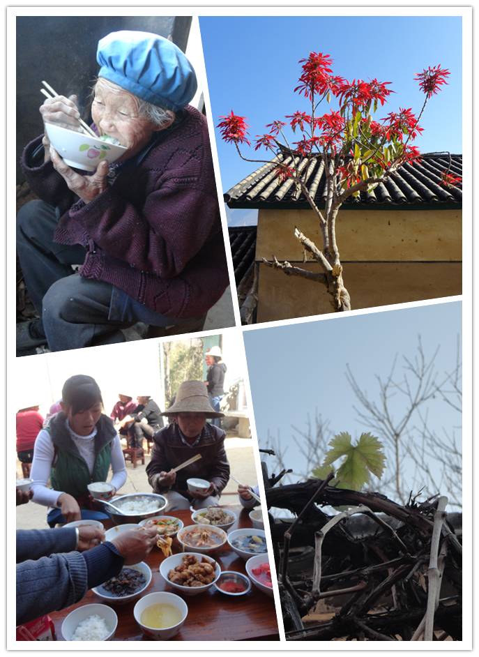 云南穷游攻略_一个人的旅行是辛酸的_独自背包旅行