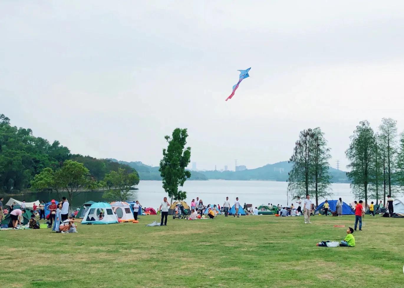 东莞同沙生态公园野餐记,进园露营烧烤搭帐篷指南(图14) 同沙生态公园停车收费_同沙生态公园环湖公路_同沙有烧烤场吗