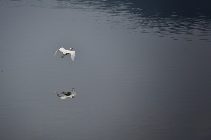 东莞同沙生态公园野餐记,进园露营烧烤搭帐篷指南(图7) 同沙生态公园环湖公路_同沙有烧烤场吗_同沙生态公园停车收费
