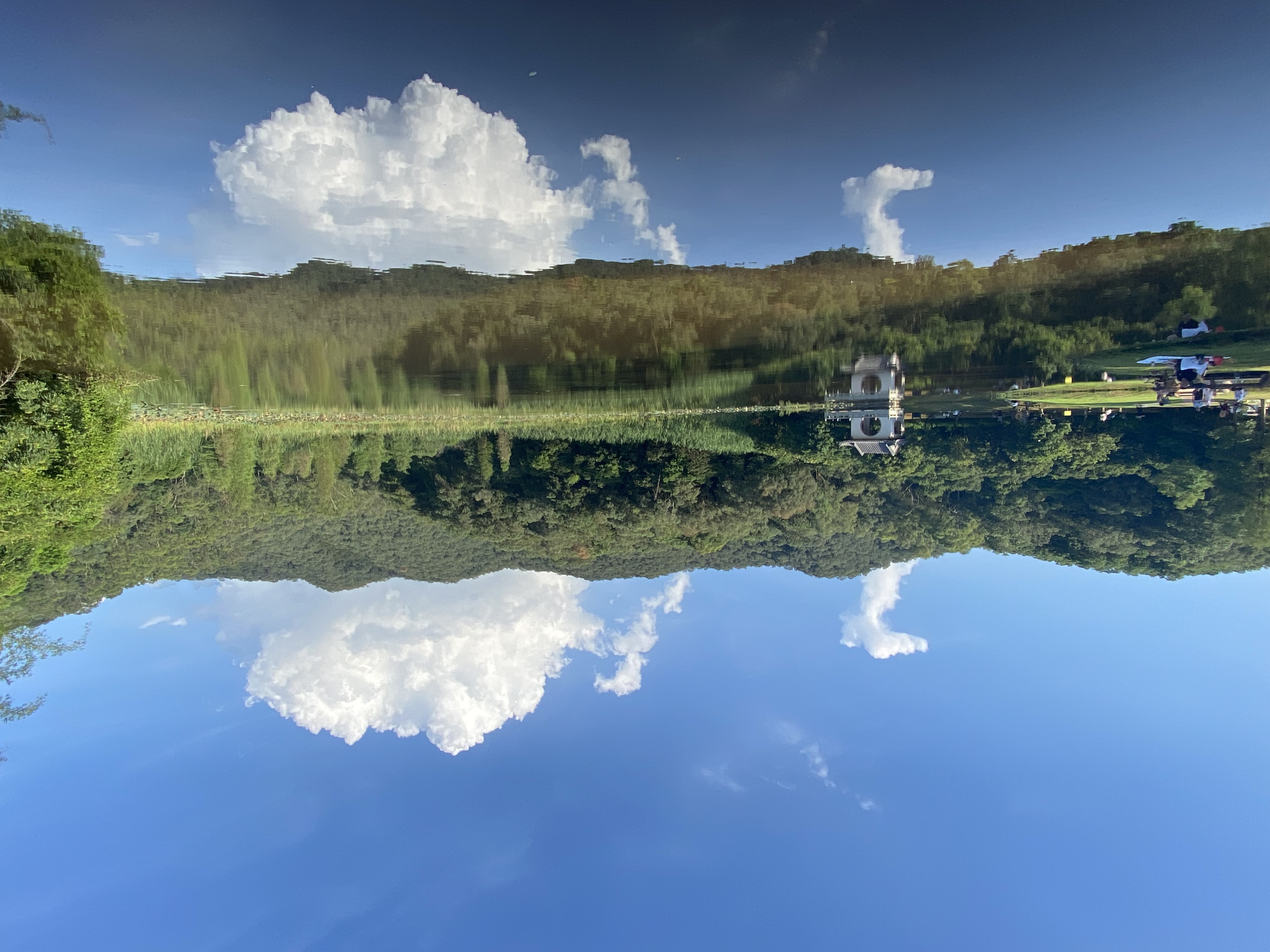 东莞同沙生态公园野餐记,进园露营烧烤搭帐篷指南(图8) 同沙生态公园环湖公路_同沙生态公园停车收费_同沙有烧烤场吗