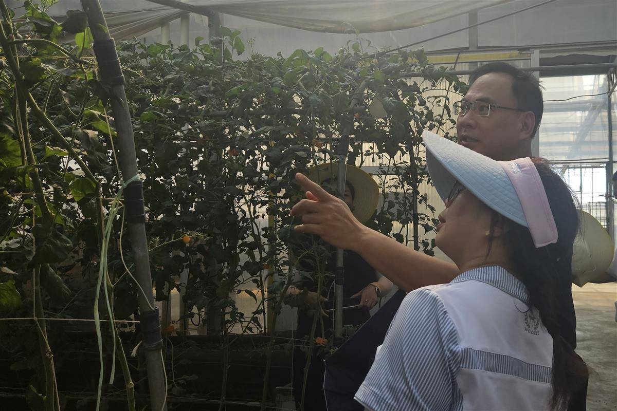 台湾观光农业园案例_仙桃九合兰园台湾专家调研_湖北乡村振兴台湾经验