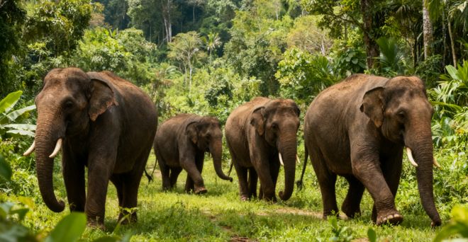 云南3天2晚跟团怎么玩?超实用云南旅游路线+必去景点推荐分享!(图4) 云南大理旅游路线推荐_3天2晚大理丽江泸沽湖跟团游_人均2580元纯玩无购物攻略