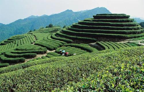 当代人向往的生活方式到底是什么?(图5) 现代生活方式_什么样的生活方式_都市生活压力