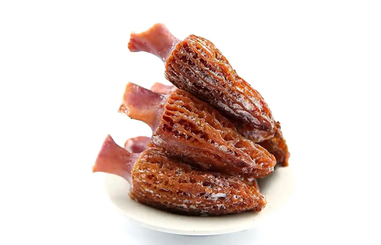 不懈努力实现家庭羊肚菌种植梦:从筹备到收获的全程攻略(图1) 家庭种植羊肚菌方法_阳台食用菌种植技术_羊肚菌种植技术教程