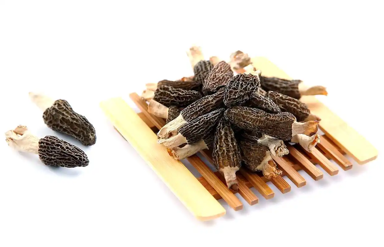 不懈努力实现家庭羊肚菌种植梦:从筹备到收获的全程攻略(图7) 家庭种植羊肚菌方法_阳台食用菌种植技术_羊肚菌种植技术教程