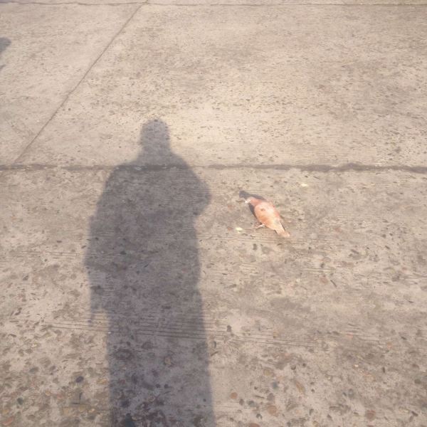 黑龙滩风景区图片