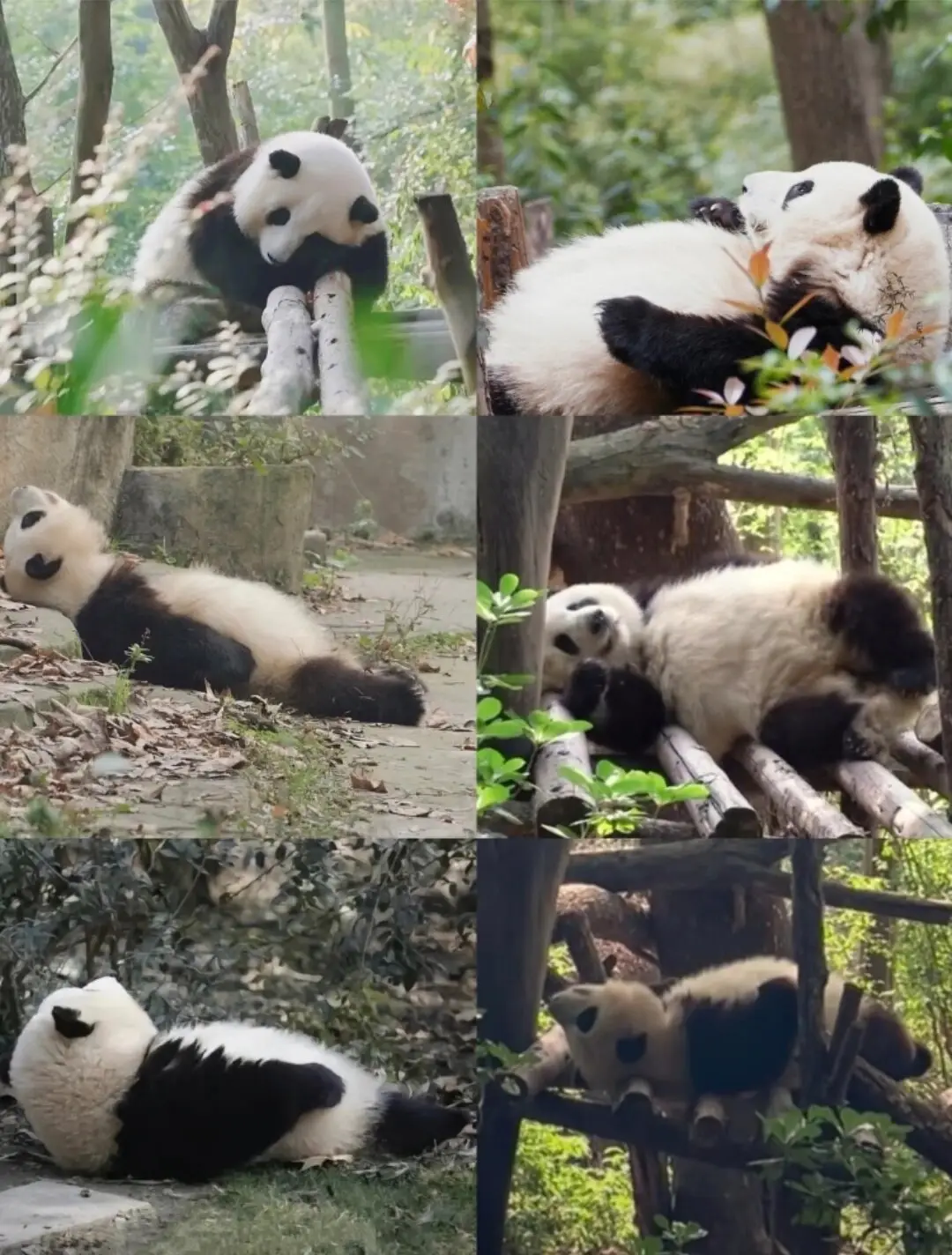 眉山市黑龙滩旅游景区_黑龙滩自然风光旅游攻略_四川眉山黑龙滩旅游风景区