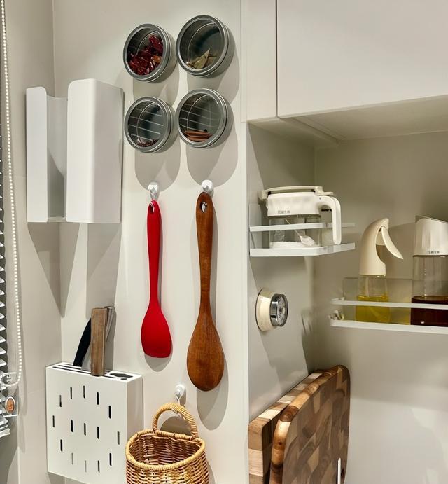 新房装修,老婆坚持做这6个“厨房设计”,没想到入住后真香了(图4) 高柜升降技术_日式厨房装修风格图片_厨房装修细节改造