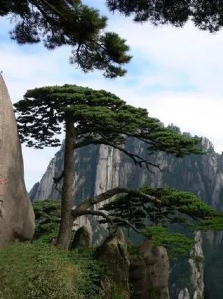 黄山一日游路线解析(图3) 黄山游览路线_黄山一日游行程安排_黄山前山后山游览路线