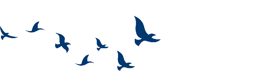 荣县双溪水库农家乐 露营_荣县历史沿革_荣县名称由来