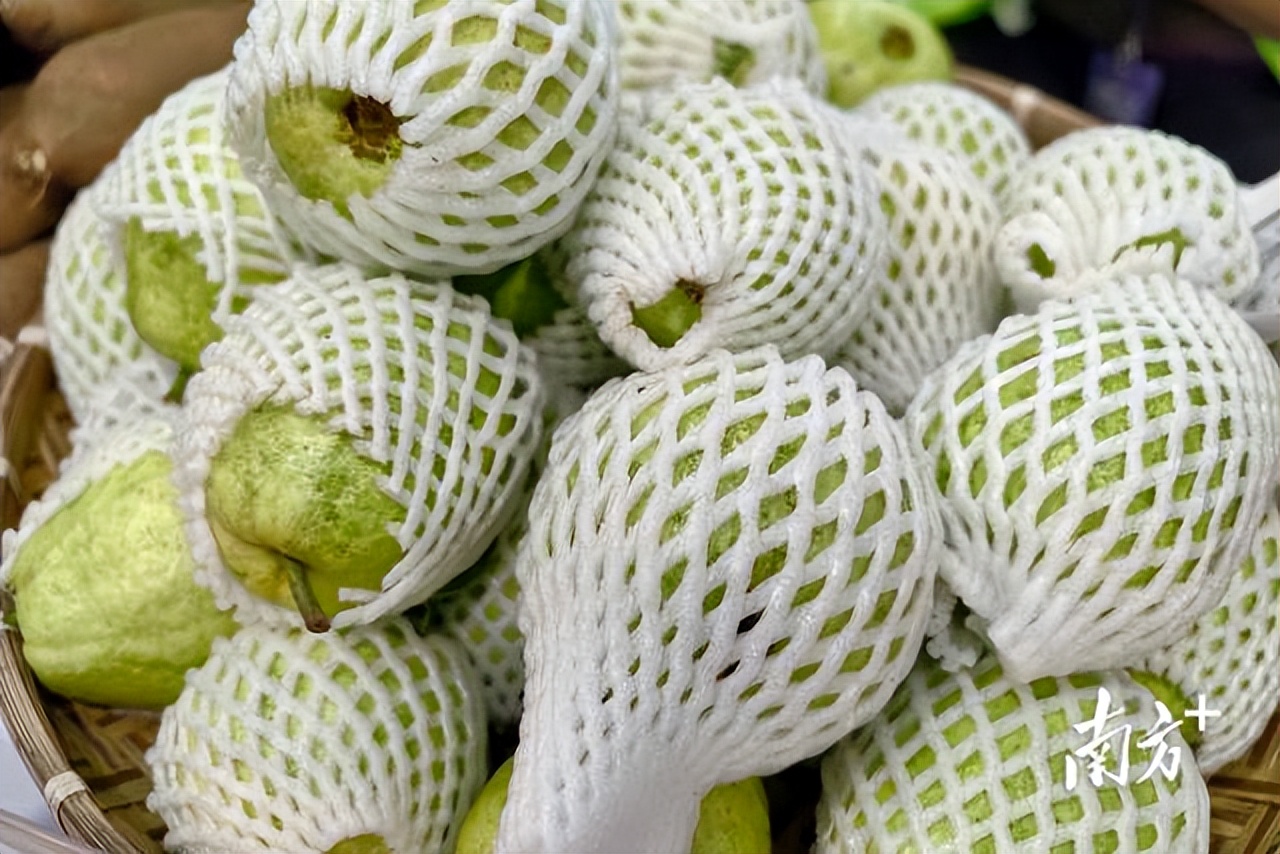 “鲜”动世界!南沙美食火爆亮相中食展(图2) 广州国际食品食材展_2025中食展广州展会 南沙农产品展销会 南沙预制菜进出口贸易区