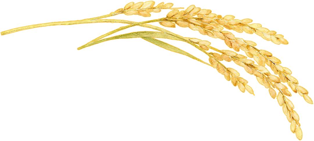 交易火爆!南沙美食亮相中食展(图1) 广州国际食品食材展_2025中食展广州展会 南沙区农产品展销会 南沙预制菜进出口贸易区