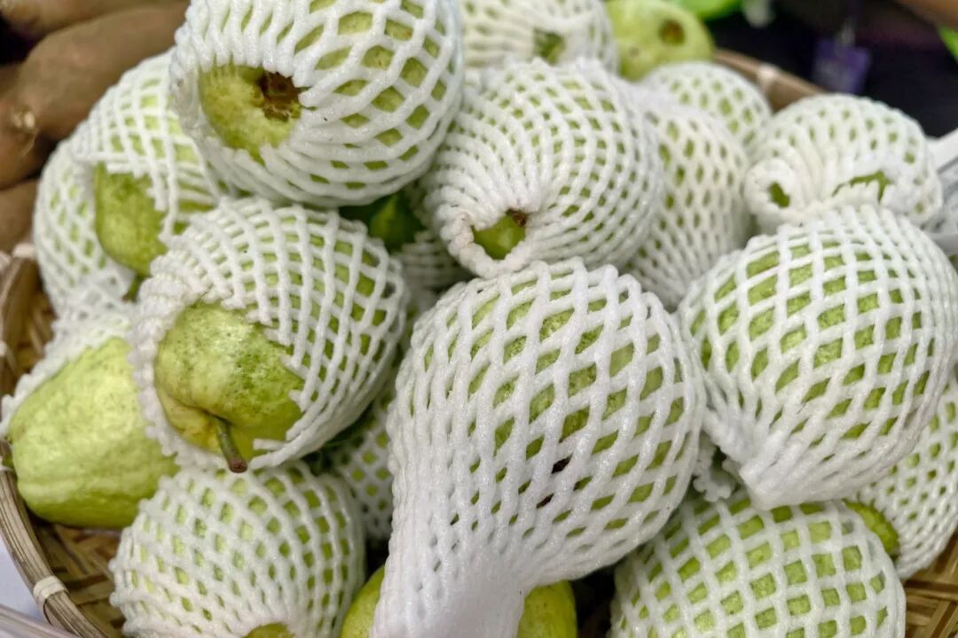 交易火爆!南沙美食亮相中食展(图6) 广州国际食品食材展_2025中食展广州展会 南沙区农产品展销会 南沙预制菜进出口贸易区