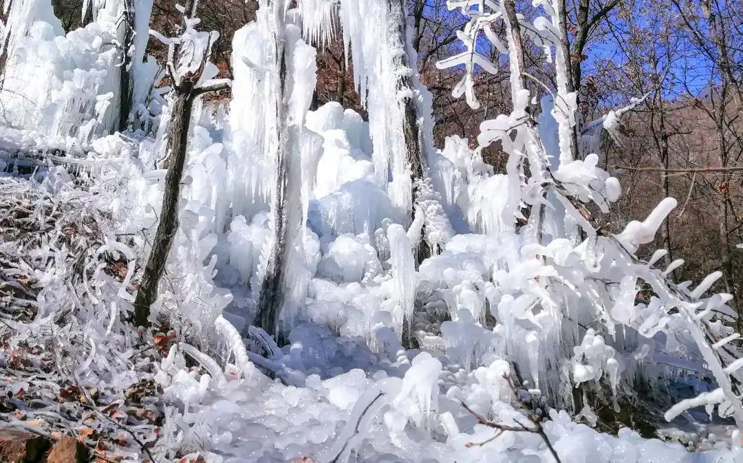 王屋山春节祈福活动_王屋山漂流景区_王屋山景区新春民俗表演