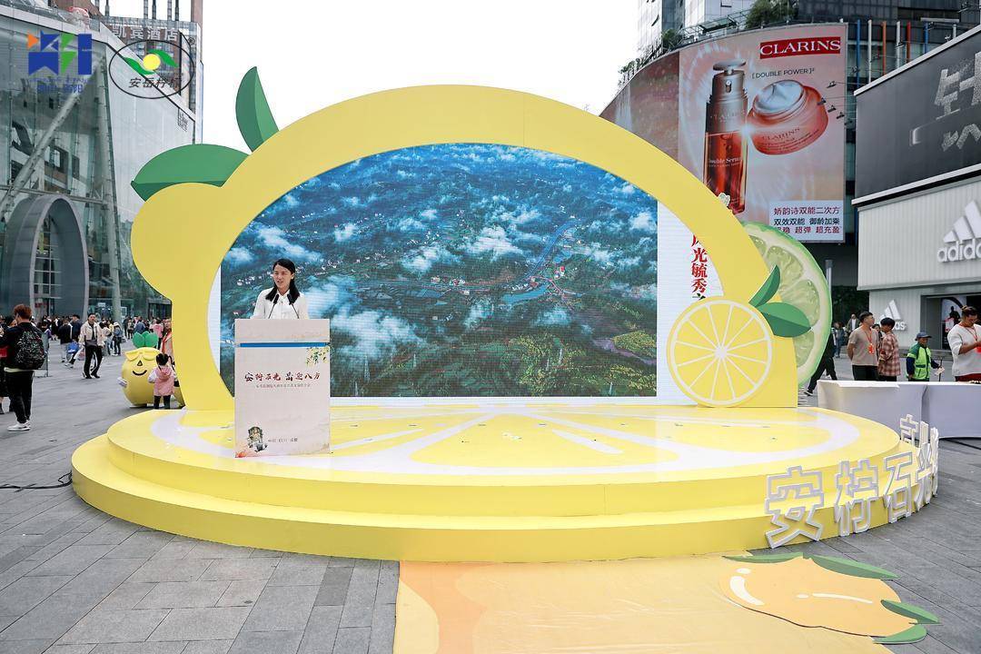 安岳文旅资源推介_安岳石刻旅游线路_安岳有什么旅游景点