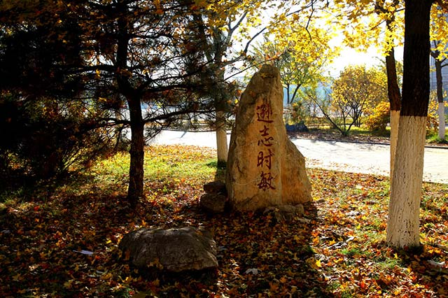 河北旅游职业学校怎么_承德旅游职业学院_河北旅游职业学院