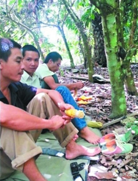 去加纳淘金真的值得吗?(图3) 中国驻外人员加纳生活现状_非洲加纳淘金成本_加纳淘金风险与收益