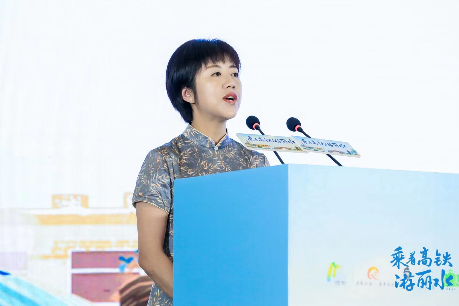 乘着高铁游丽水 衢宁铁路丽水段旅游推广 庆元松阳龙泉遂昌旅游推介会_浙江庆元旅游