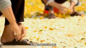 纪录片批评 | 张奕玮:始于舌尖,终于中国(图3) 《舌尖上的中国》色彩运用技巧_舌尖上的中国的美食_纪录片镜头语言分析