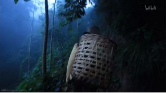 纪录片批评 | 张奕玮:始于舌尖,终于中国(图5) 舌尖上的中国的美食_纪录片镜头语言分析_《舌尖上的中国》色彩运用技巧