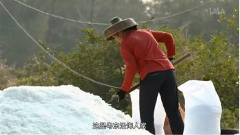 纪录片批评 | 张奕玮:始于舌尖,终于中国(图9) 《舌尖上的中国》色彩运用技巧_舌尖上的中国的美食_纪录片镜头语言分析