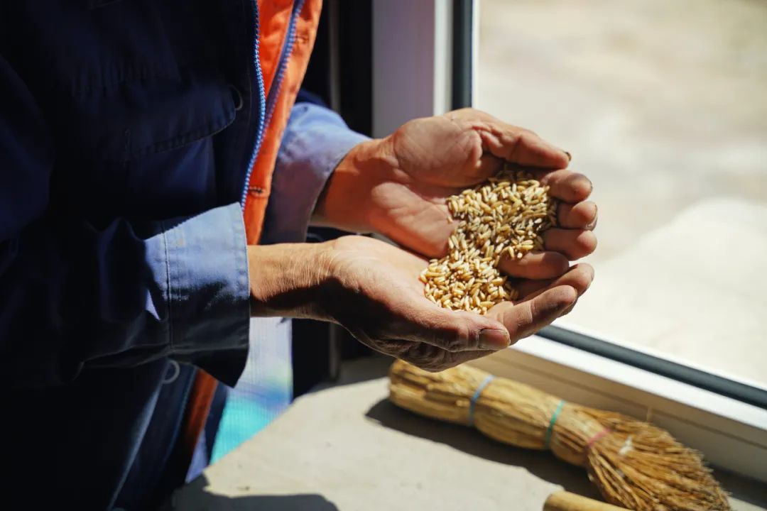 10部经典国产美食纪录片,吃货宅家必看(图31) 舌尖上的中国的美食_国产美食纪录片推荐_舌尖上的中国纪录片评价