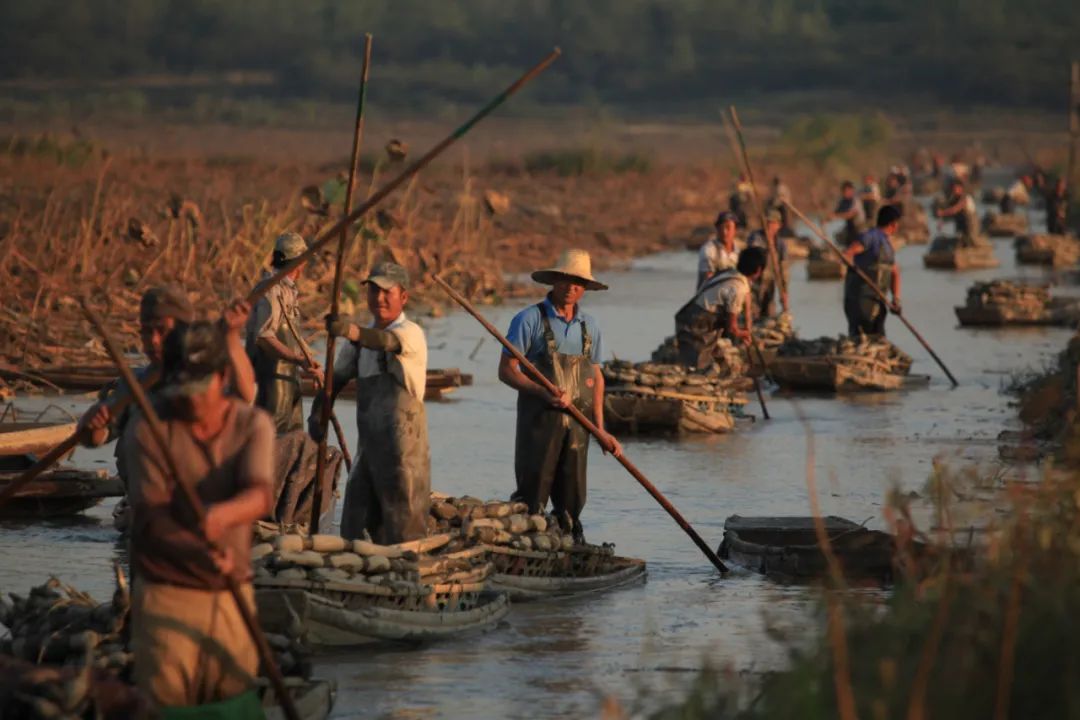10部经典国产美食纪录片,吃货宅家必看(图5) 舌尖上的中国纪录片评价_国产美食纪录片推荐_舌尖上的中国的美食