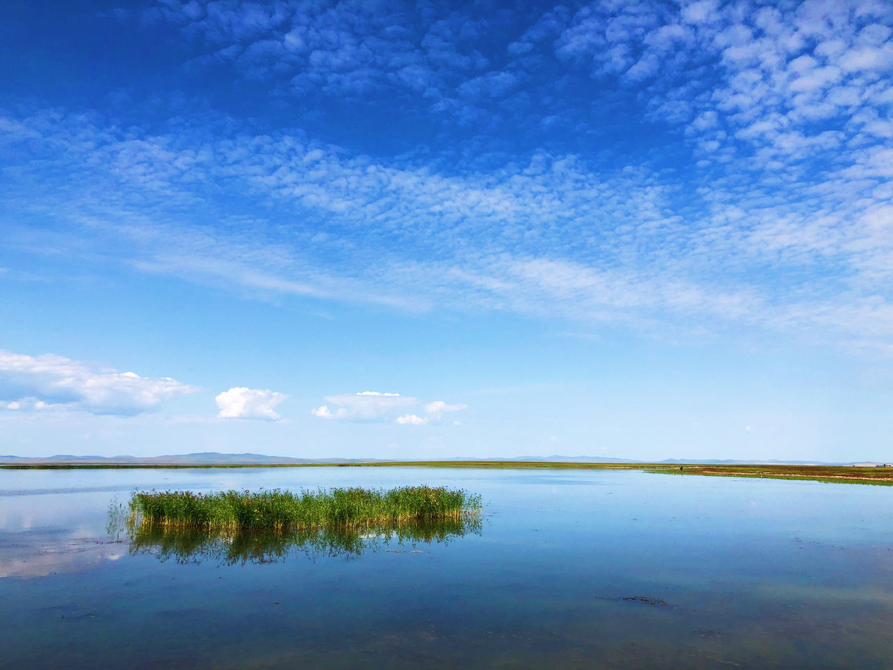 观光君带你诗词游中国:王维《终南别业》(图2) 终南别业题目怎么理解_终南山诗词赏析_王维终南别业解读