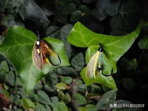 二手跌到千元!宾得‘暗夜战神’深度揭秘:小白轻松拍出1亿像素(图6) 宾得和佳能单反哪个好_宾得相机推荐_宾得入门级相机评测