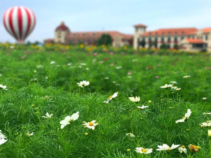 西塘古镇景区旅游消费券_云澜湾温泉景区旅游消费券_嘉善旅游景点