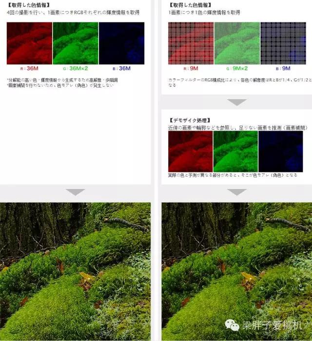 宾得的信仰 佳能的中坚 K-1与EOS 80D(图8) 宾得和佳能单反哪个好_宾得K-1相机性能评测_宾得K-1全画幅相机